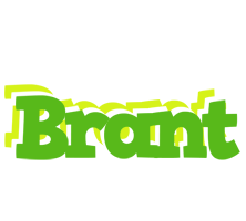 Brant picnic logo