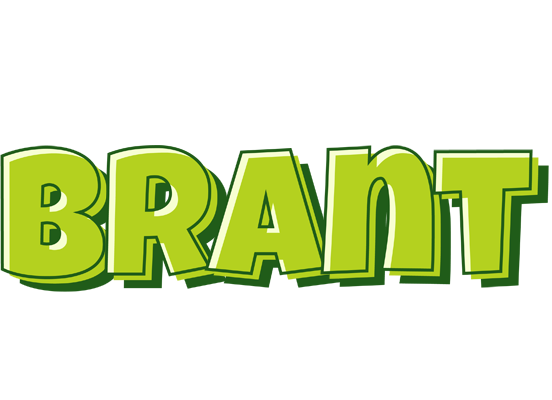 Brant summer logo