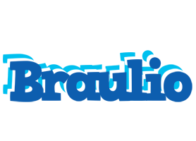 Braulio business logo