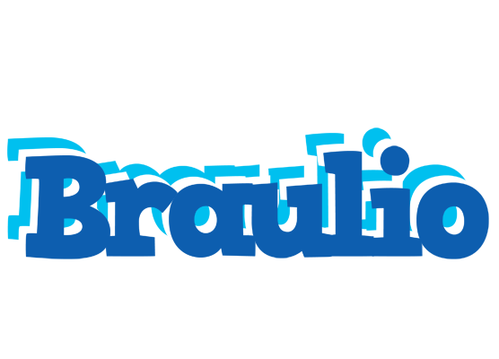 Braulio business logo
