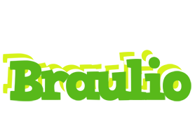 Braulio picnic logo