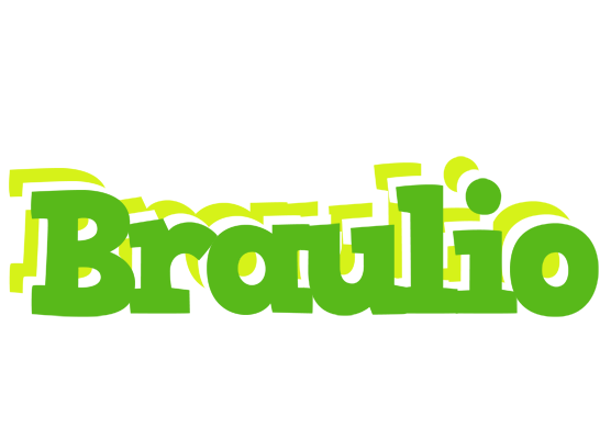 Braulio picnic logo