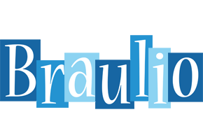 Braulio winter logo