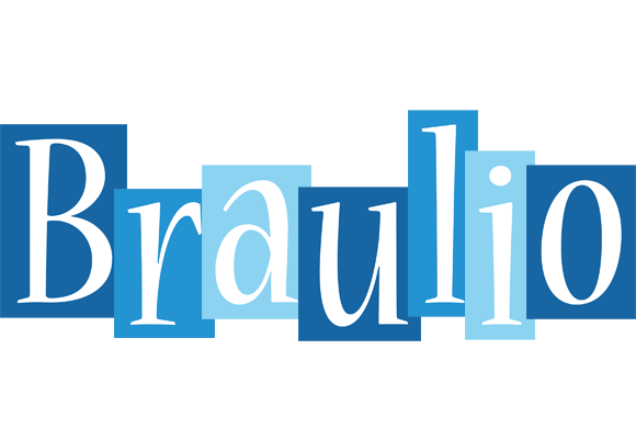 Braulio winter logo