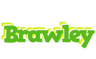 Brawley picnic logo