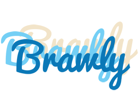 Brawly breeze logo
