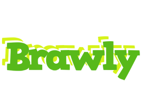 Brawly picnic logo