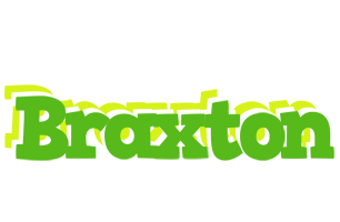 Braxton picnic logo