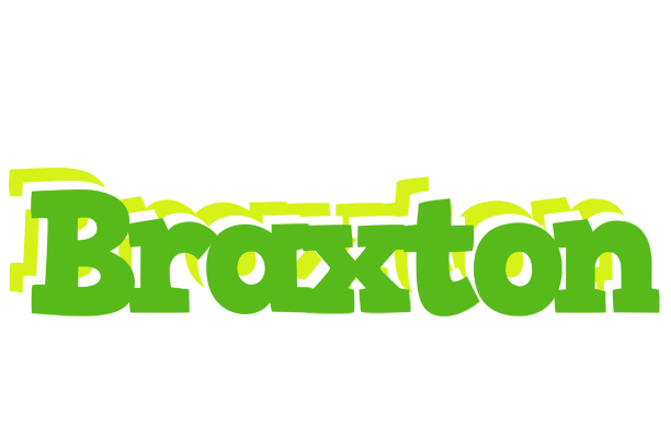 Braxton picnic logo