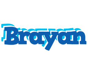 Brayan business logo