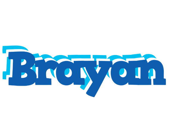 Brayan business logo
