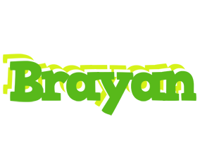 Brayan picnic logo