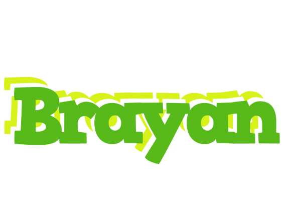 Brayan picnic logo