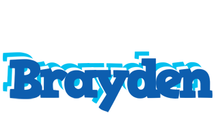 Brayden business logo