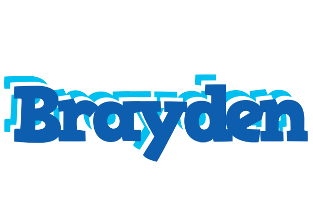 Brayden business logo