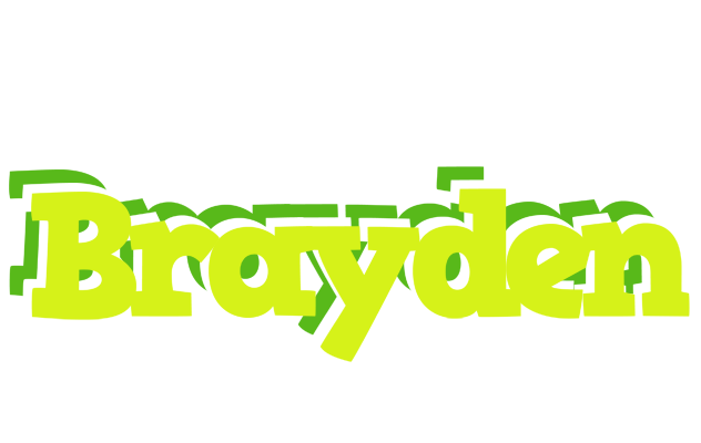 Brayden citrus logo