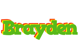 Brayden crocodile logo