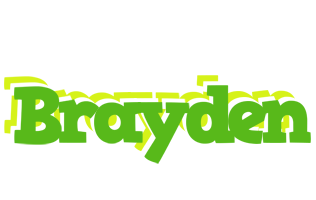 Brayden picnic logo