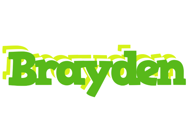 Brayden picnic logo
