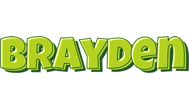 Brayden summer logo