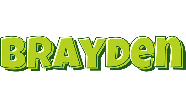 Brayden summer logo