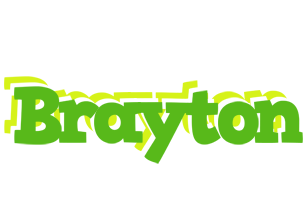 Brayton picnic logo