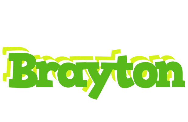 Brayton picnic logo