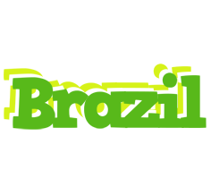 Brazil picnic logo