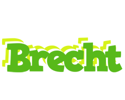 Brecht picnic logo