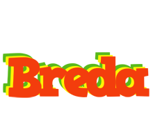 Breda bbq logo