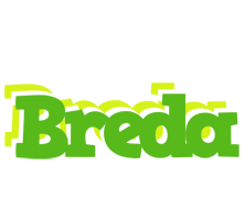 Breda picnic logo