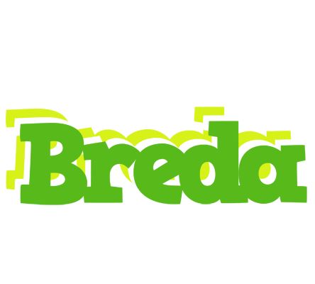 Breda picnic logo