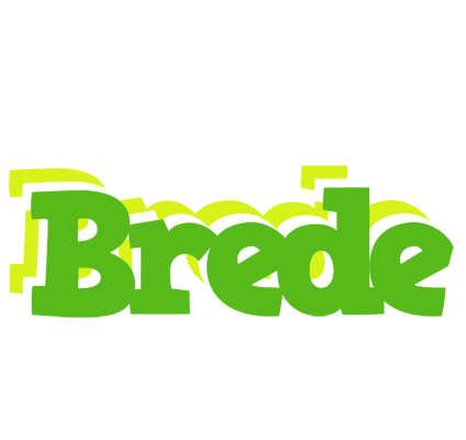 Brede picnic logo