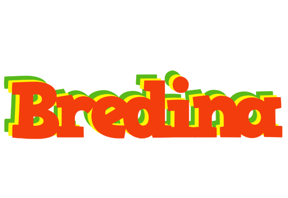Bredina bbq logo