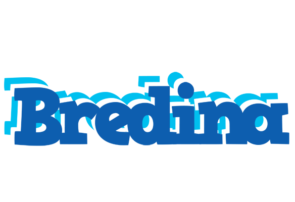 Bredina business logo