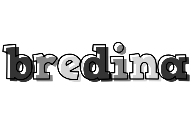 Bredina night logo