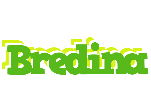 Bredina picnic logo