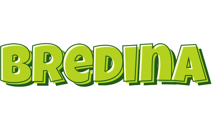 Bredina summer logo