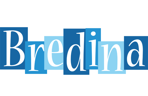 Bredina winter logo