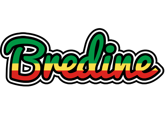 Bredine african logo