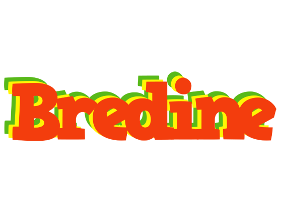 Bredine bbq logo