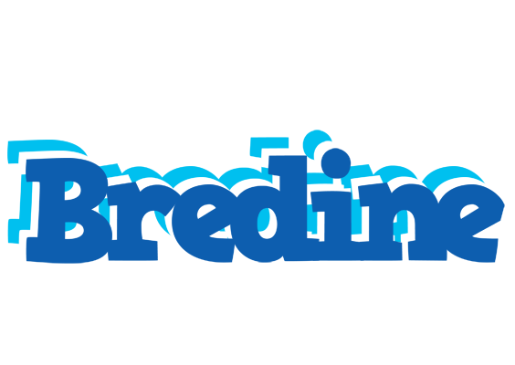 Bredine business logo