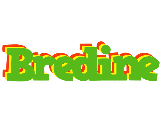 Bredine crocodile logo