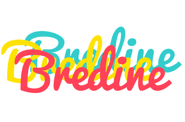 Bredine disco logo