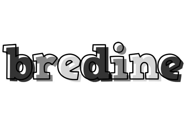 Bredine night logo