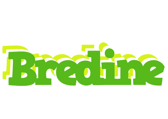 Bredine picnic logo