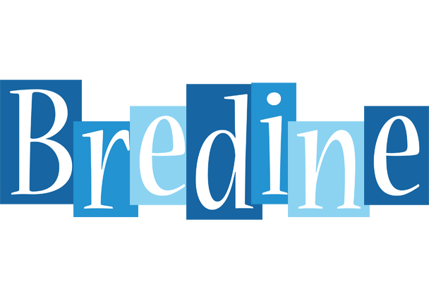 Bredine winter logo