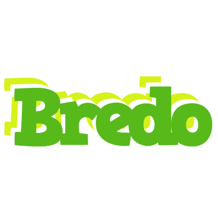 Bredo picnic logo