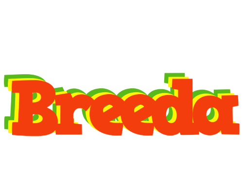 Breeda bbq logo