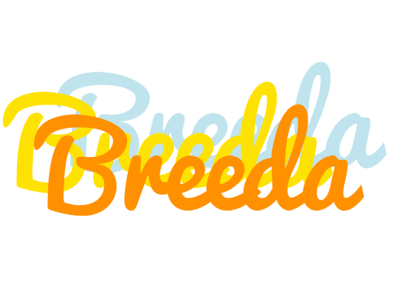 Breeda energy logo
